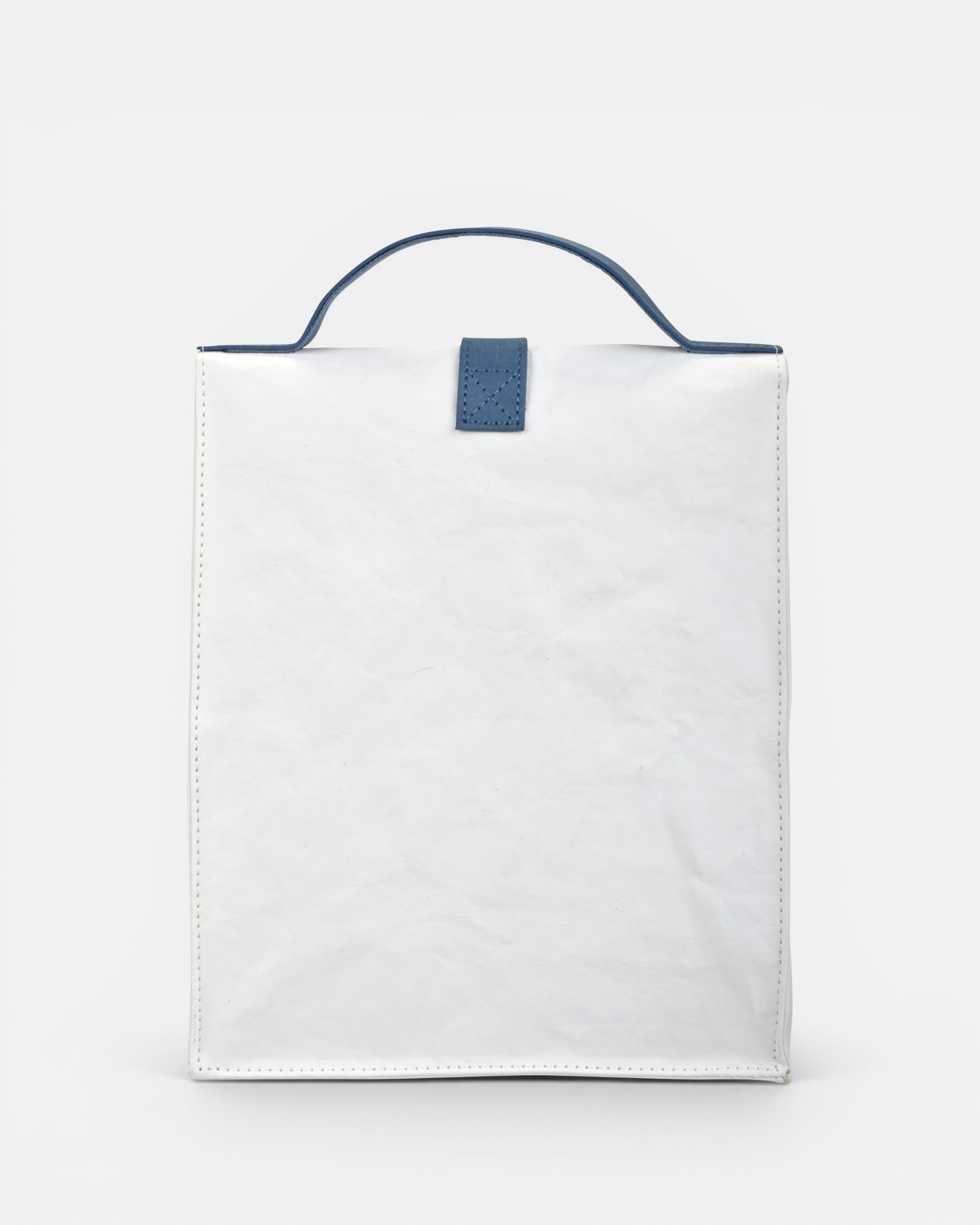 Paper Sack Lunch Cooler-4
