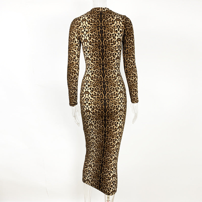 2025 cross-border autumn and winter new women's clothing Amazon European and American fashion leopard print long sleeve sexy slim dress