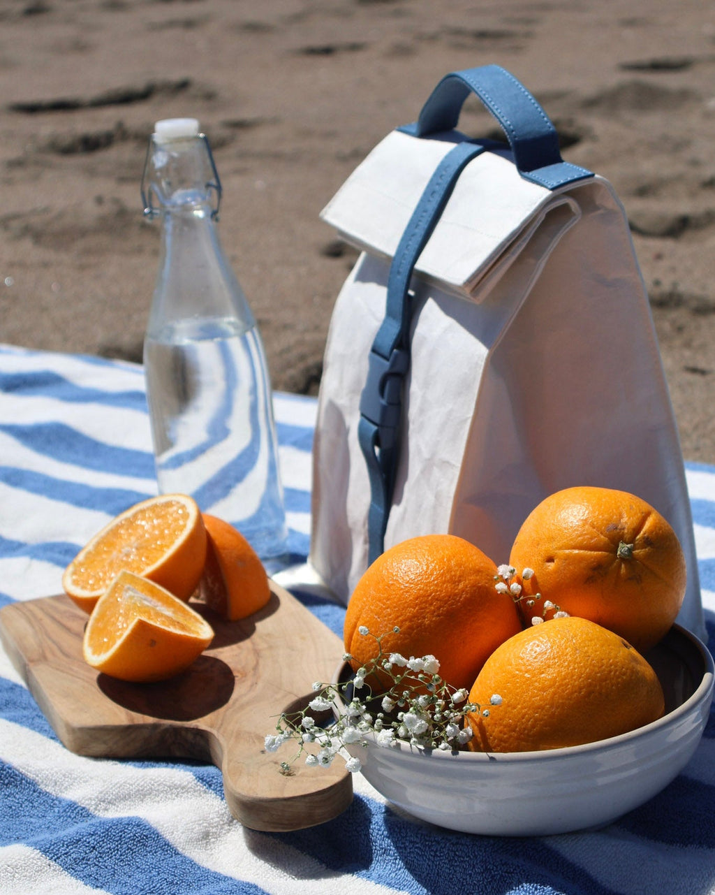Paper Sack Lunch Cooler-1