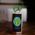 Earth with Heart Tree - Plants 100 Trees