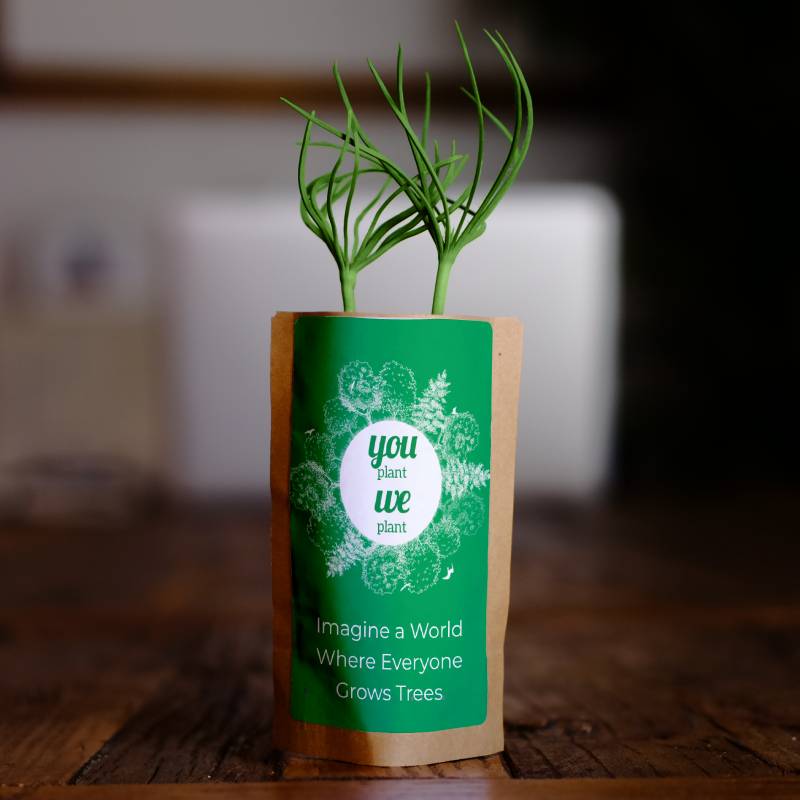 Tree Pouch - Plants 50 More Trees